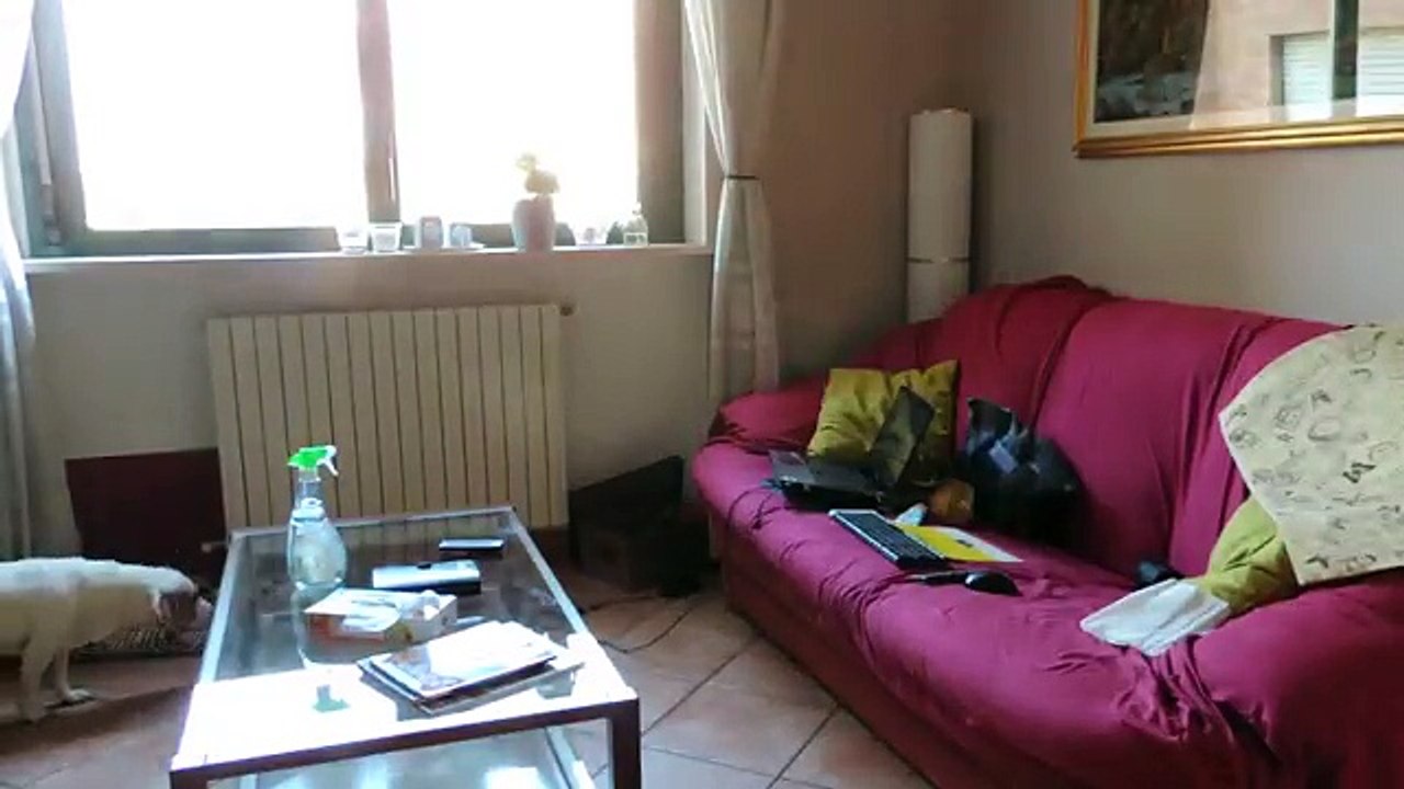 Daily/Weekly Cleaning Routine