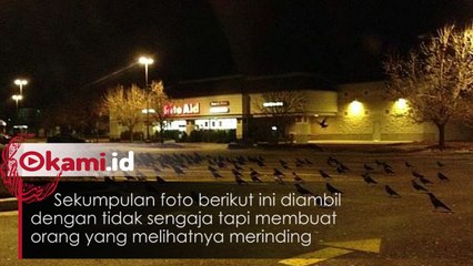 Tak Sengaja Diambil, Foto-foto ini Sukses Bikin Bulu Kudung Merinding  1