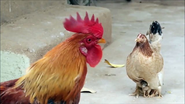 Mentos Indian TV ads