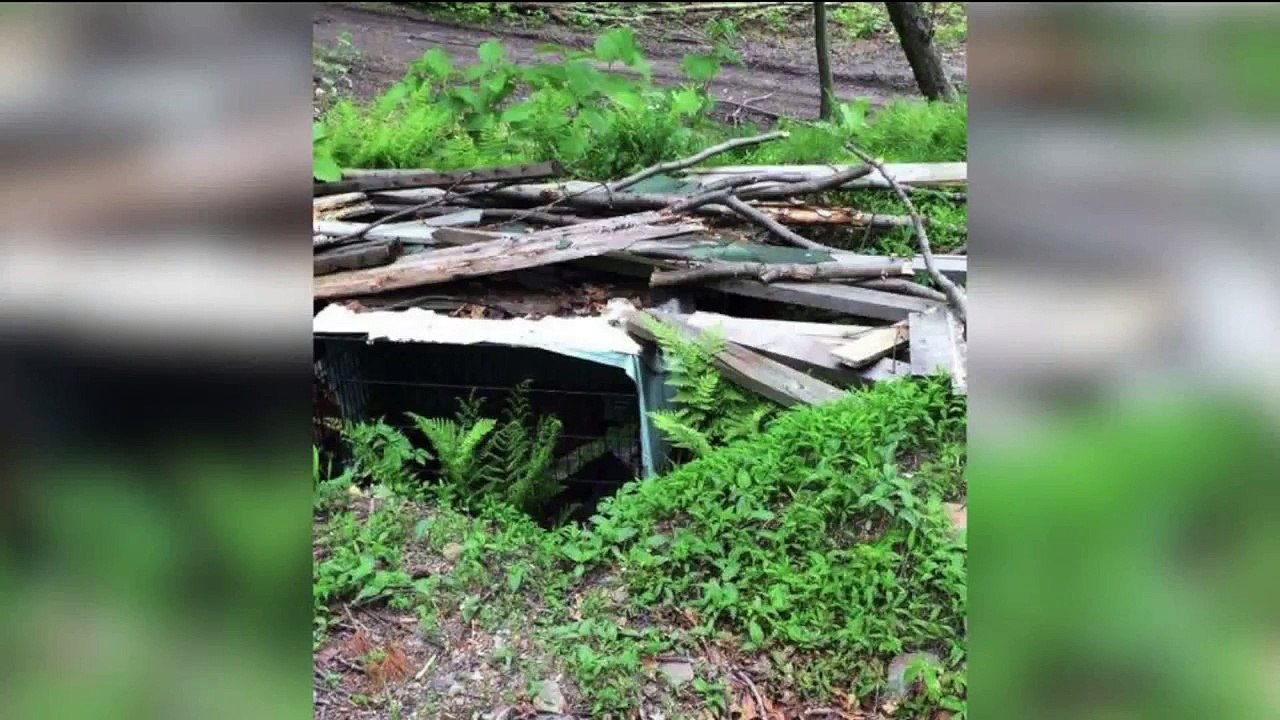 `They Basically Built a Torture Chamber:` Hikers Find Dead Dog in Buried Cage