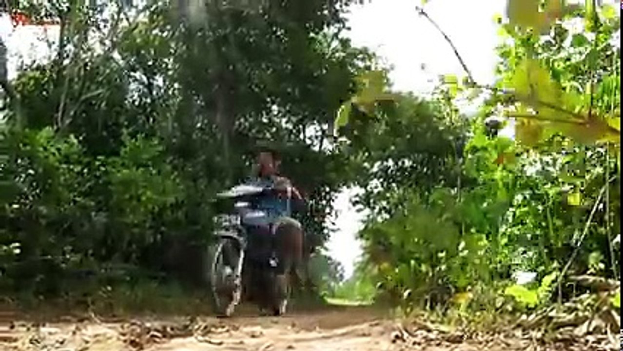 Terrifying! How To Find snake And Catch Big Snake Near Excavator - How To Catch Snake! ( 240 X 426 )