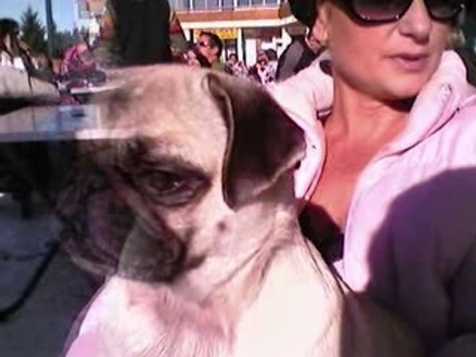 Lily la carline