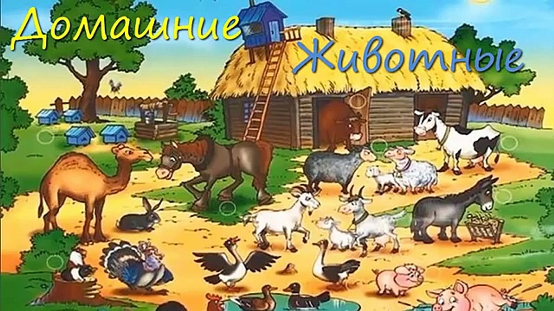 Домашние животные и их детёныши. Название животных.