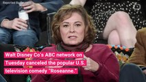 'Roseanne' Cancelled After Racist Tweet