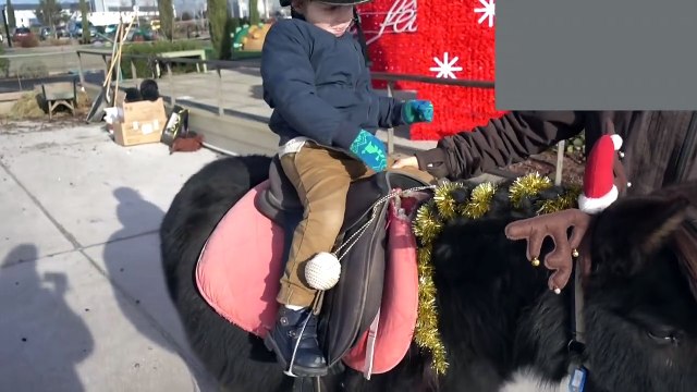 1ERE FOIS EN PONEY - VLOGMAS 14 ALLO MAMAN