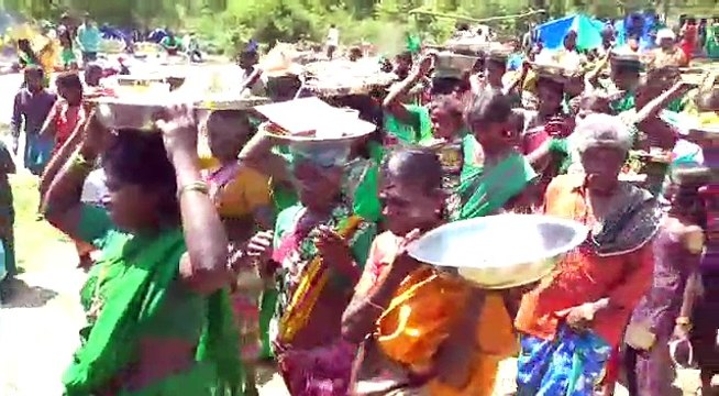 வனதேவதை திருவிழா.. பச்சை சேலை.. காட்டுமலர்கள், கிழங்குகள் படைத்து வினோத வழிபாடு-வீடியோ