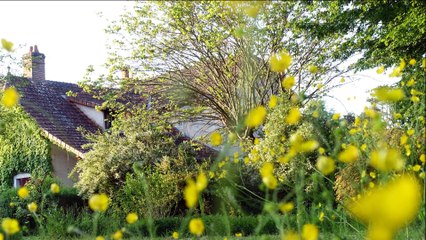 Rockcollection for Grande Marie