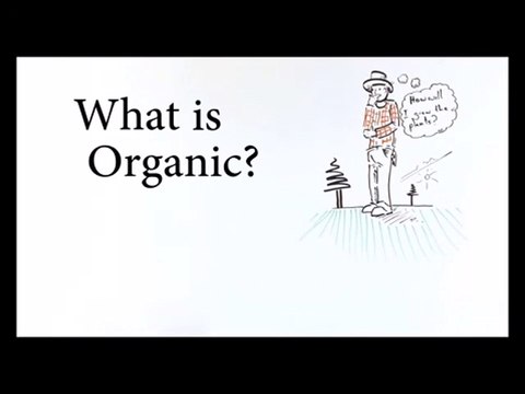 Ben Palen, Agricultural Experience with an Undergraduate Degree from the University of Kansas