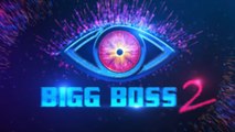 Bigg Boss Telugu Season 2 Participants Names