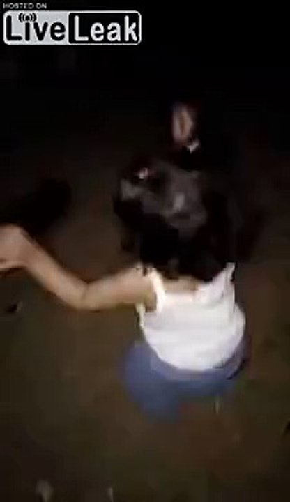 Camel kicks girl after she gets too close.