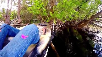 Fishing Bluegill Spawning on Beds ( Under Water Footage) 2016