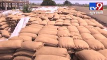 Monsoon is on its way, tonnes of grams lying under open sky in Porbandar marketing yard- Tv9 Gujarati