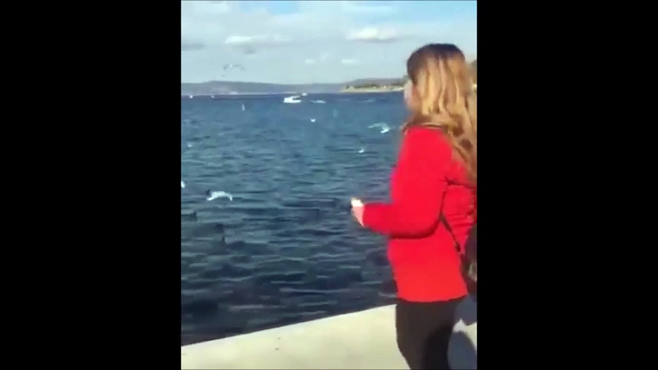 Elle jette son téléphone aux oiseaux à la place du pain... Oups