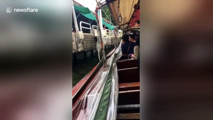 Moment drowning dog rescued from canal by passing ferry boat