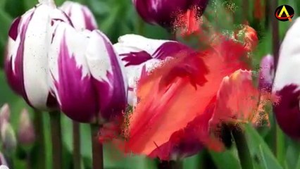 Bhalo achi bhalo theko....