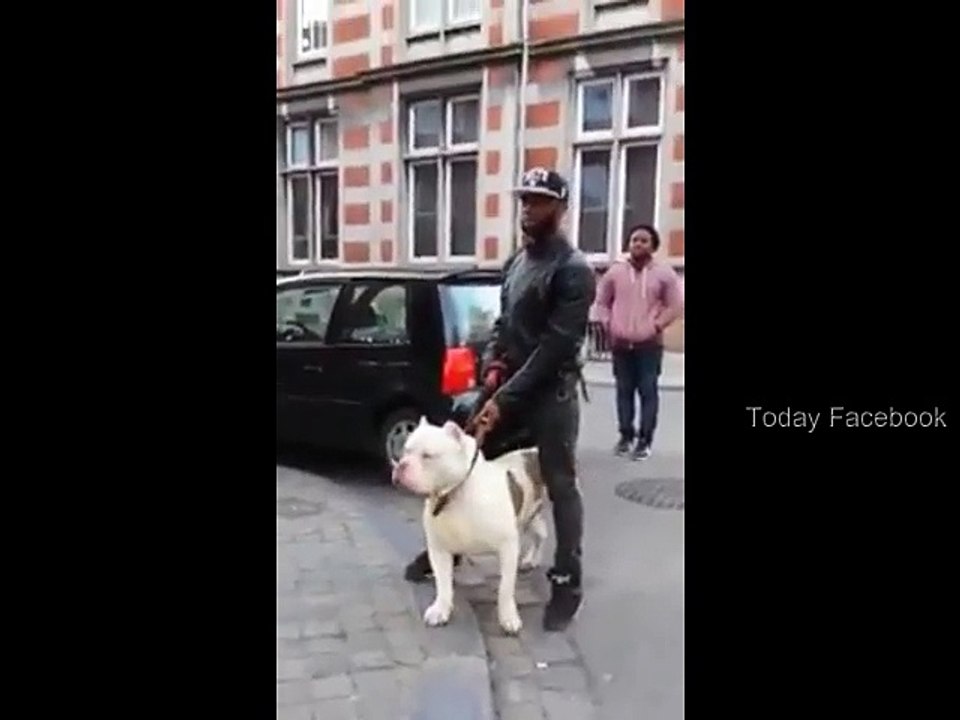 Big Dog - Today Facebook