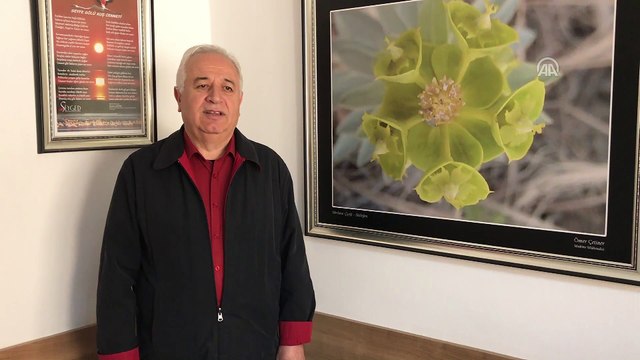 Son yağışlar Seyfe Gölü Kuş Cenneti'ne hayat verdi - KIRŞEHİR