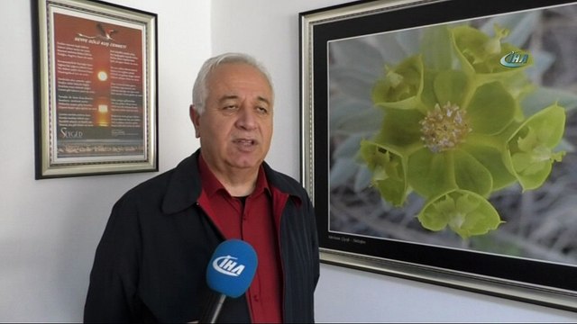 Seyfe Gölü Kuş Cenneti yağışlarla şenlendi