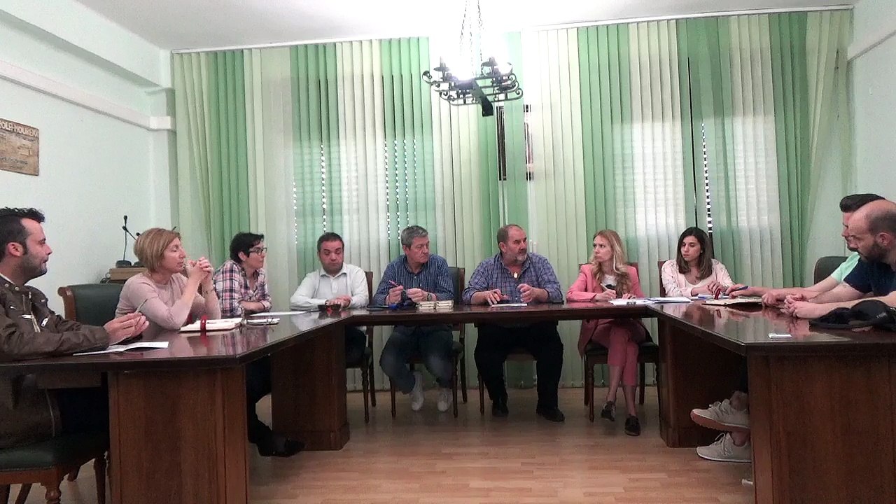 Pleno 20/06/2019