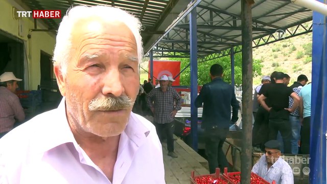 Bilecik'te açık artırma ile kiraz satışı