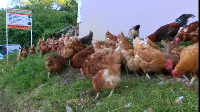 Kemal Sunal Ve Motosikletli Kuryeler İlham Kaynağı Oldu