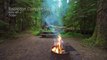 4K Relaxing Campfire Footage with Crackling Sounds - Episode 3 - CAMPFIRE -TRAILER 39