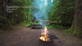 4K Relaxing Campfire Footage with Crackling Sounds - Episode 3 - CAMPFIRE -TRAILER 39