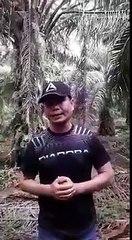 'Jangan zalimi saya, Tan Sri'- Jamal