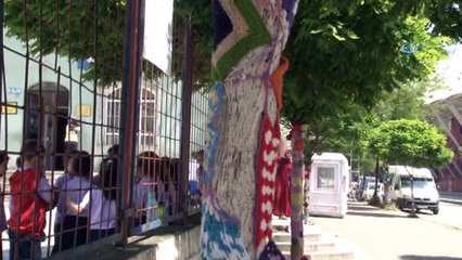 Doğa sevgisi ağaçlar için örgü ördürdü