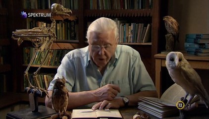 David Attenborough - A Természet Csodái S02e03