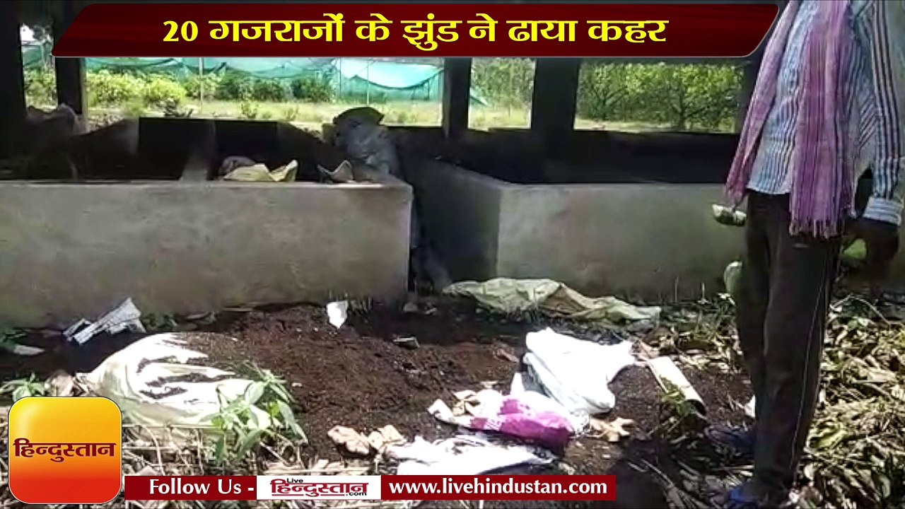 20 गजराजों के झुंड ने ढाया कहर, नर्सरी को किया तहस-नहस