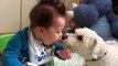 Sweet baby and dog have Adorable friendship -  Funny Compilation