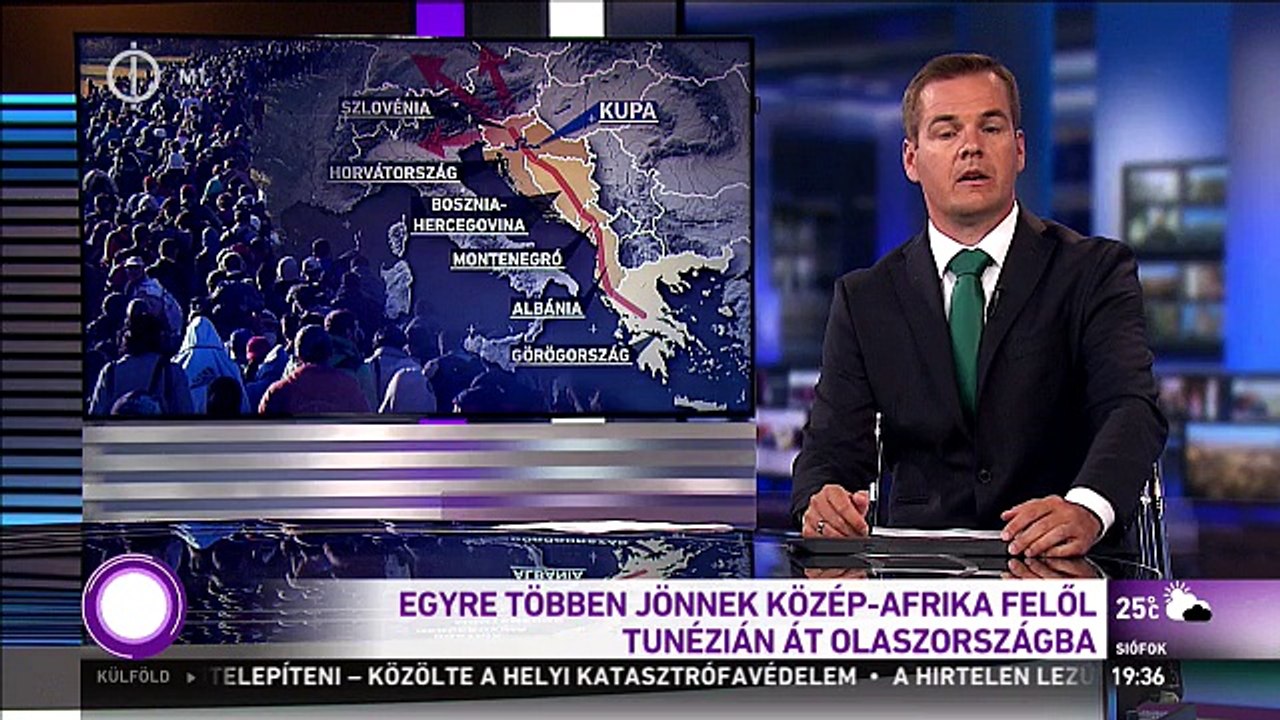 Migránsok zaklattak egy nyolcadikos kislányt a magyar határ közelében, kutyákkal hajtották el a gazdák őket