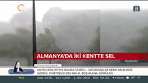 Ağaçlar devrildi