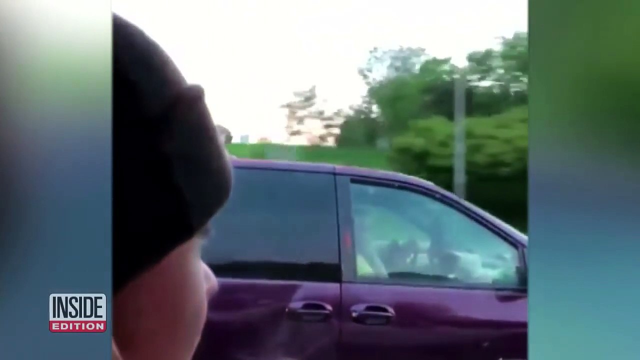 Un chat sur le toit d'une voiture