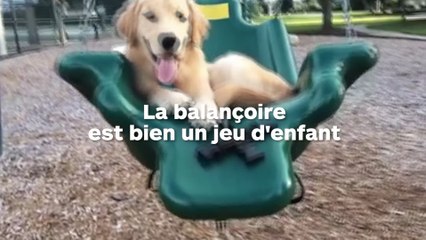Une mère reste coincée sur une balançoire