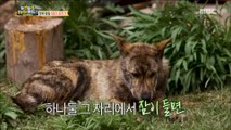 [Haha Land 2] 하하랜드2 - Many natural dogs to play with20180530