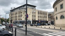 L’arbre du Salon du livre prend racine à la halle au blé