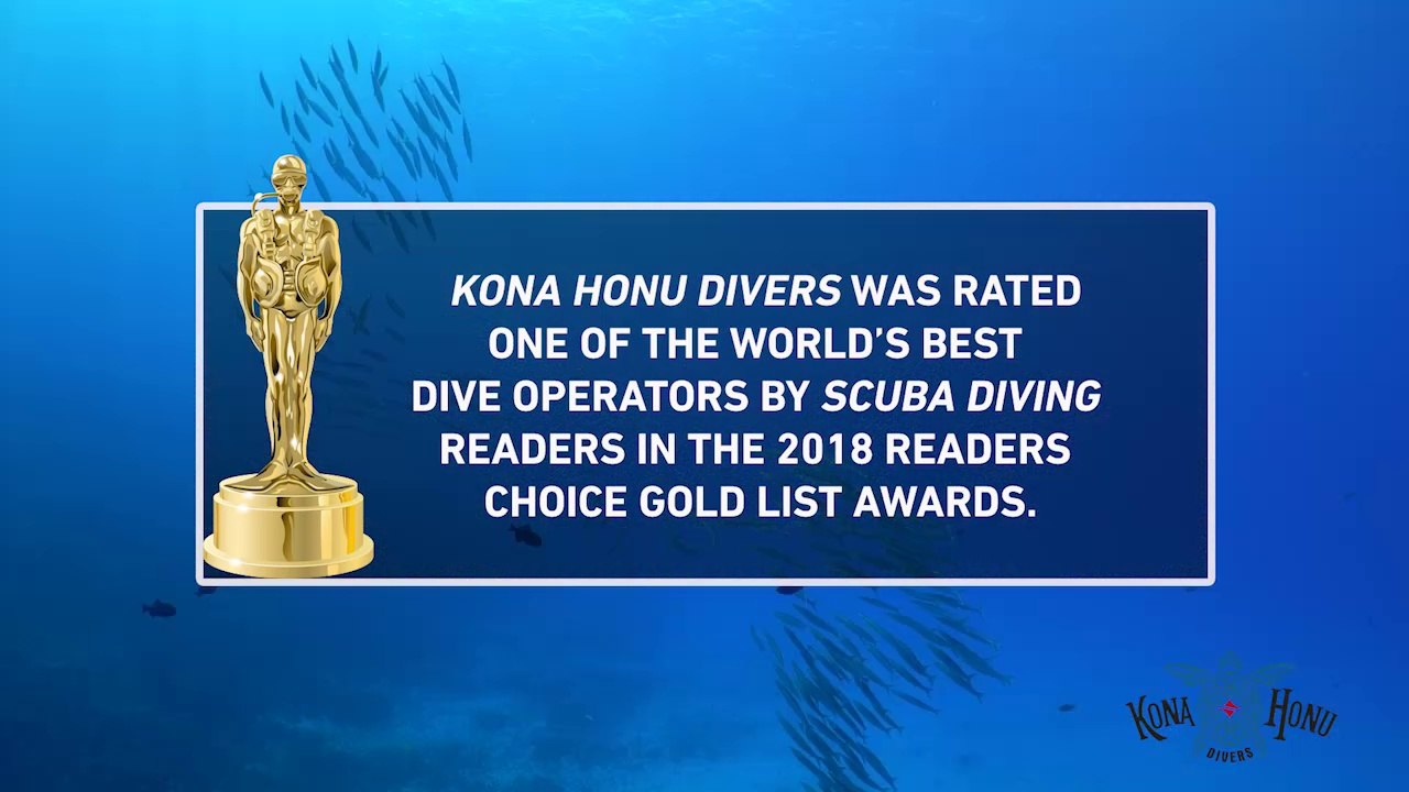 Readers Choice 2018 - Kona Honu Divers
