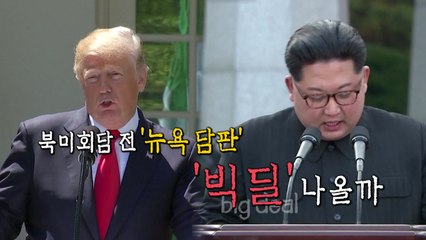 폼페이오·김영철, 뉴욕에서 최종 담판 / YTN