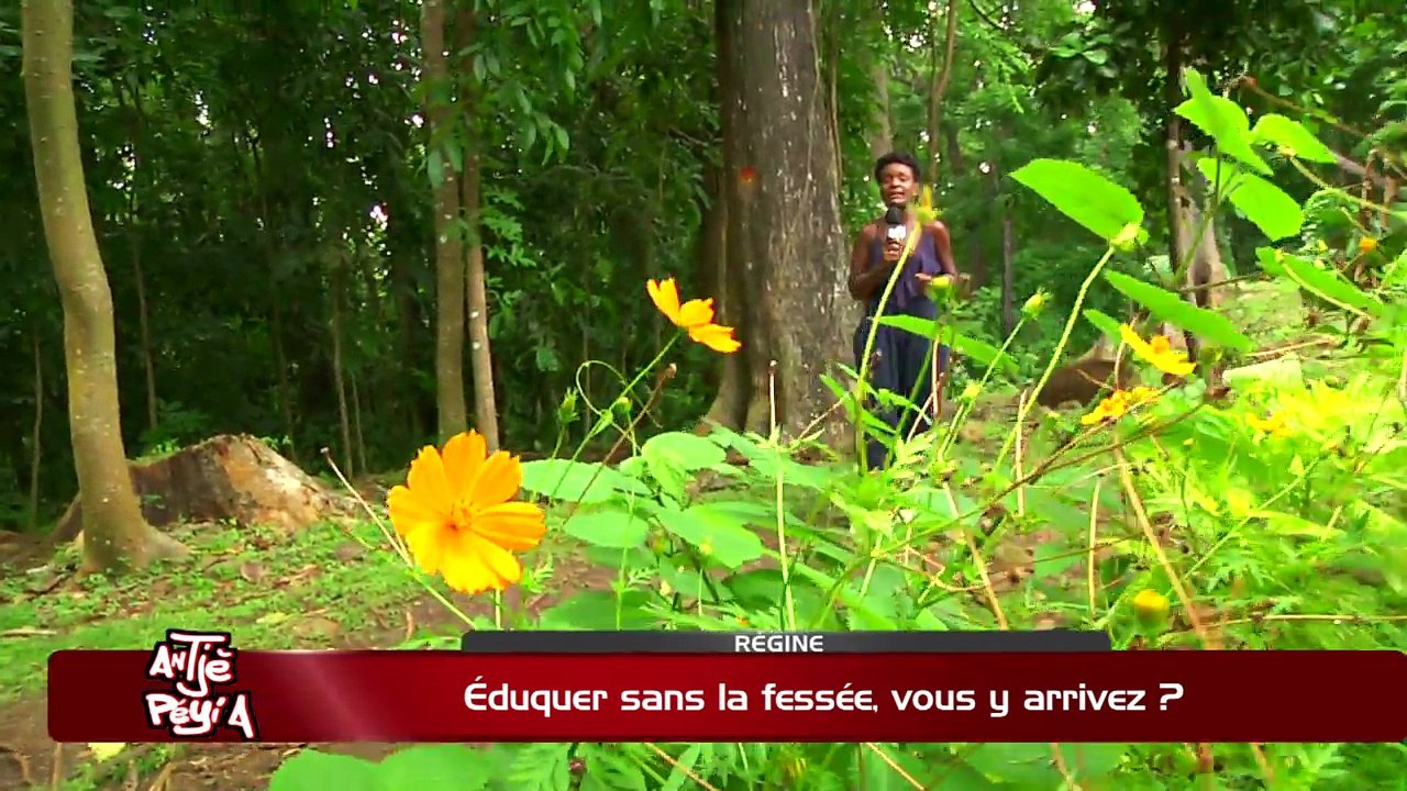 ATPA 01 06 18 EDUQUER SANS FESSEE ANNICK CALABER OK