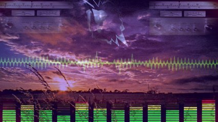 RCM - No aprendeis ni palos