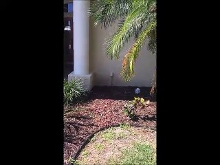 Why You Need Proper Water Restoration