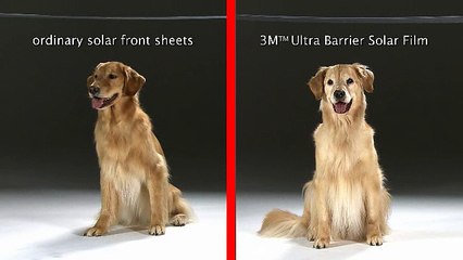 3M_Solar-Moisture-v-3 - Scottish Window Tinting - Dallas