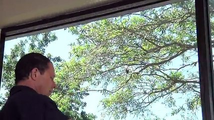 Madico Flat Glass Film Installation - Scottish Wndow Tinting - Dallas