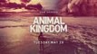 Animal Kingdom - Promo 3x02