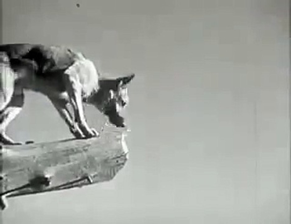 1936 Caryl Of The Mounties Rim Tim TIm part 2/2