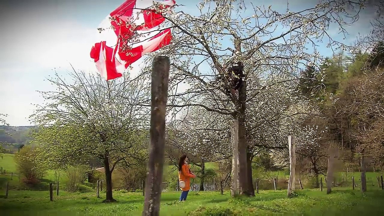 Vorschau auf die 12. Staffel - Sturm der Liebe