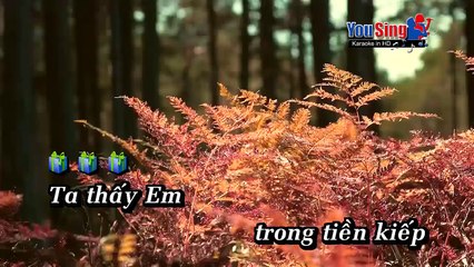 Rừng Xưa Đã Khép - Sỹ Phú