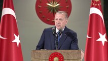 Cumhurbaşkanı Erdoğan: 'Meclisi kanun çıkarma konusunda tek merci haline getiriyoruz' - ANKARA